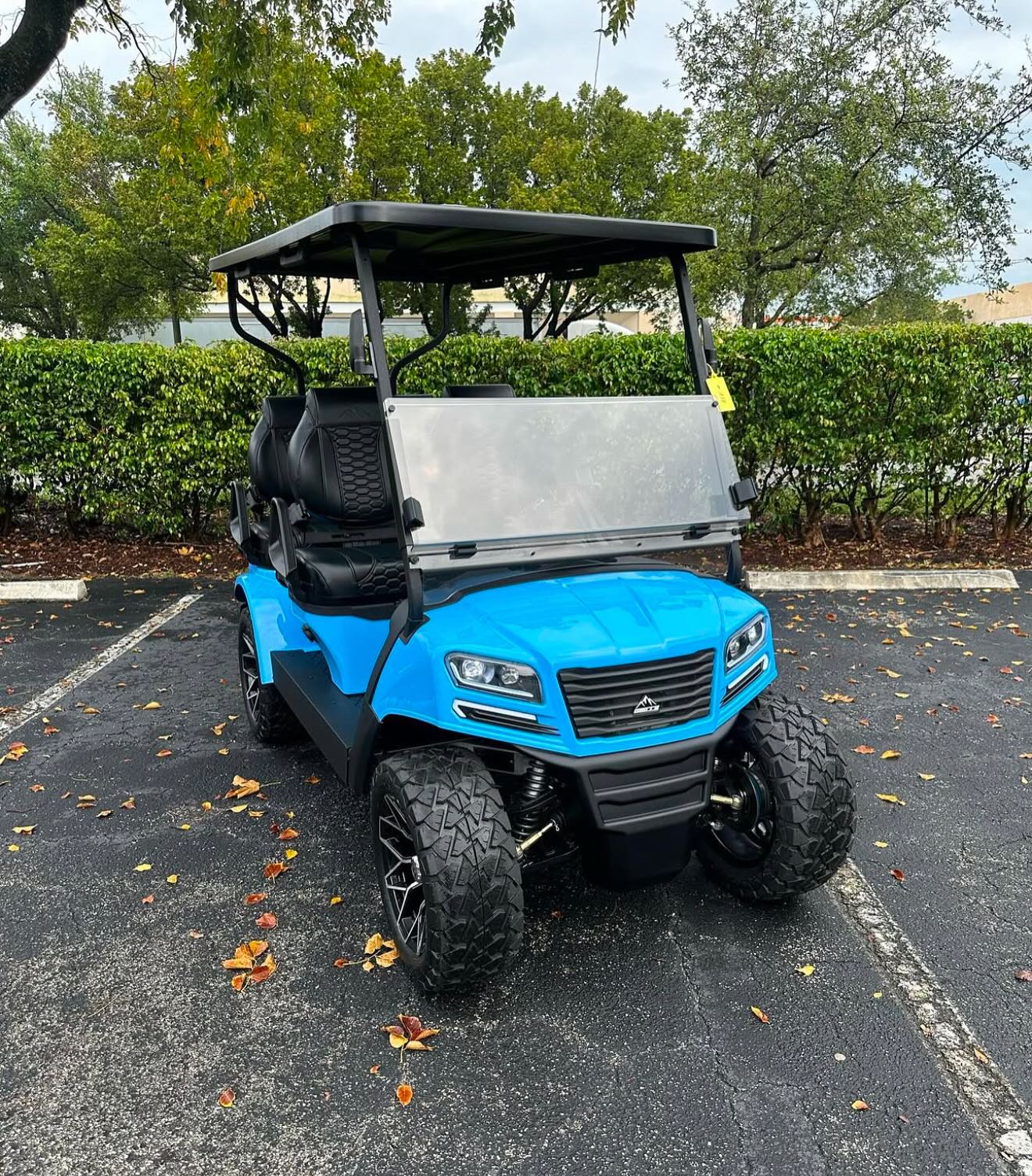 2024 sierra lsv – 4 passenger 2024 sierra lsv – 4 passenger