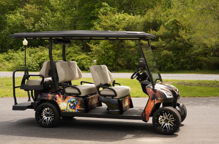 Electric Golf Push Carts