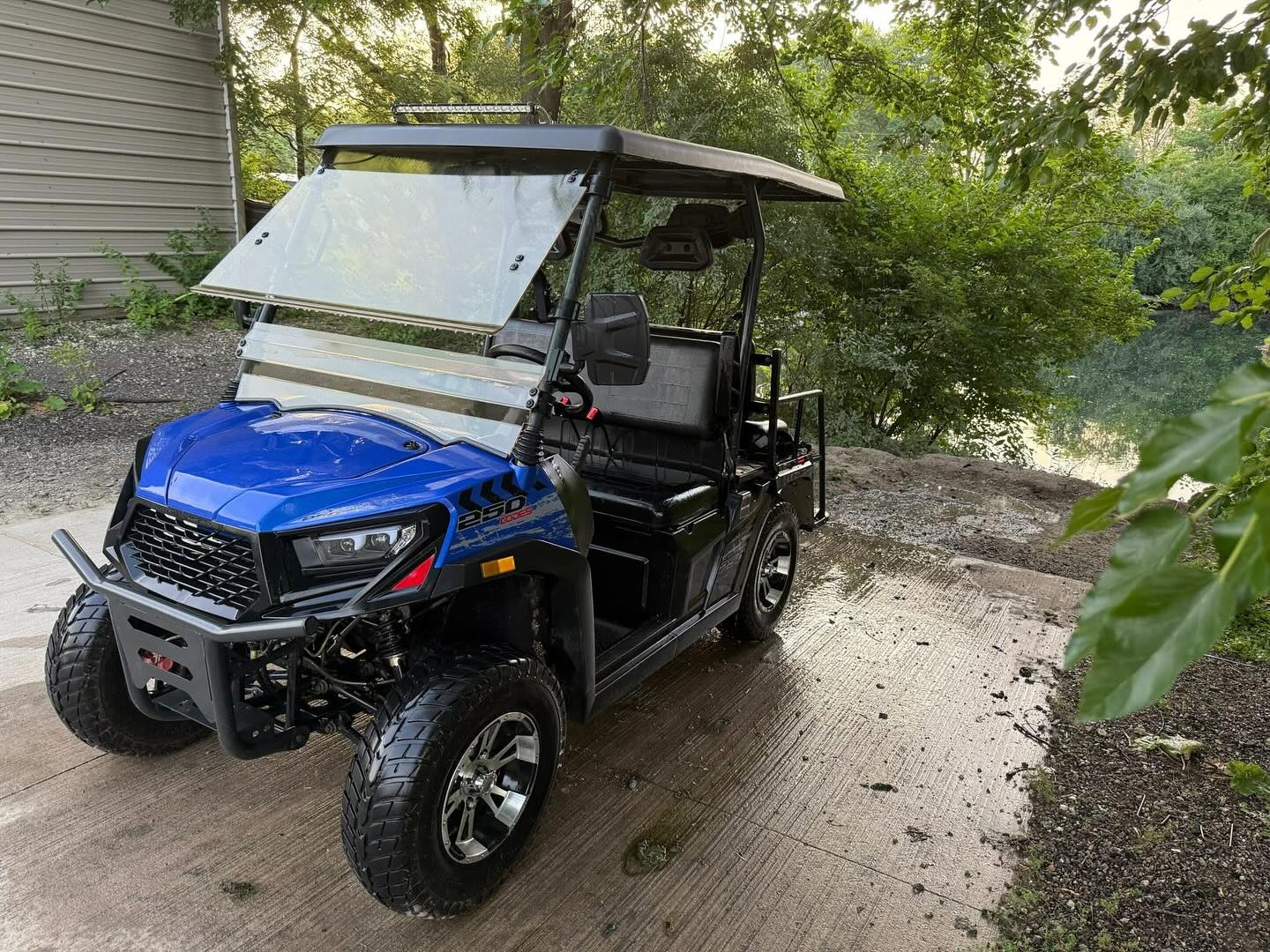 Petrol Golf Carts